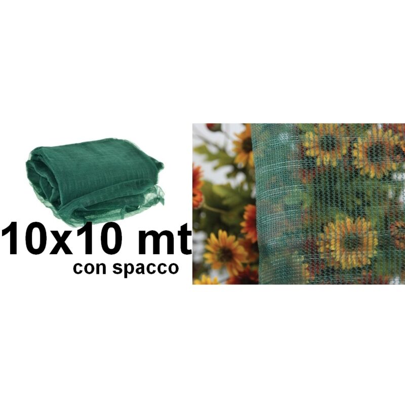 Stars Telo Per Raccolta Olive Antispina 5x10 Mt - Con Angoli Rinforzati E Occhielli, Omaggio Rastrello - 3