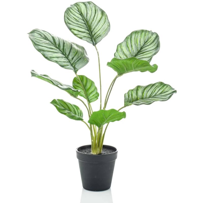 Künstliche Maranta Calathea Orbifolia 45 cm Topf Emerald
