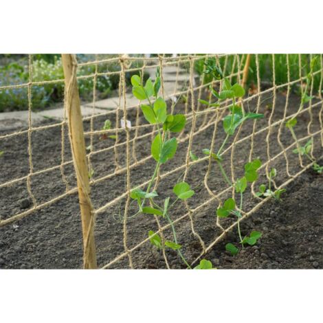 Kletter-/Ranknetz Für Pflanzen, 9-strängig Aus Polyester - Für Bohnen, Tomaten, Erbsen, Gurken (verschiedene Größen Verfügbar)