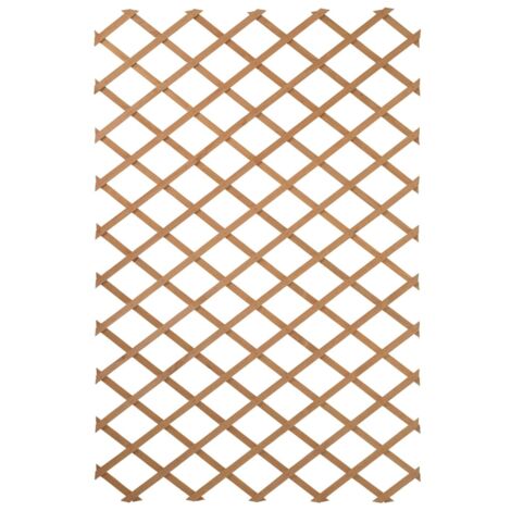 Garten-Rankgitter 100x200 cm Holz Natur 6041703 Nature