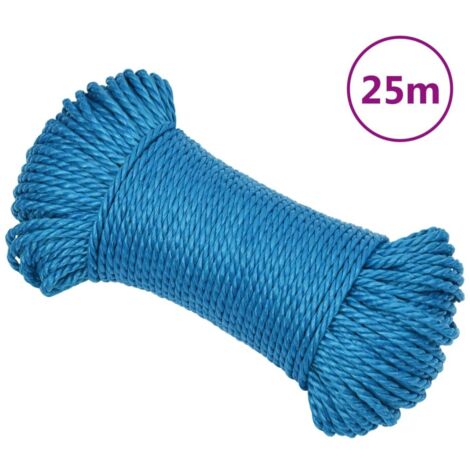 Arbeitsseil Blau 6 mm 25 m Polypropylen vidaXL