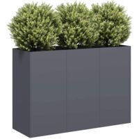 Pflanzkübel Anthrazit 120x40x80 cm Kaltgewalzter Stahl vidaXL
