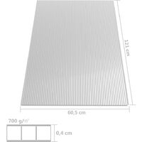 vidaXL 4x Polycarbonatplatte 4mm 121x60,5cm Doppelstegplatte Hohlkammerplatten 