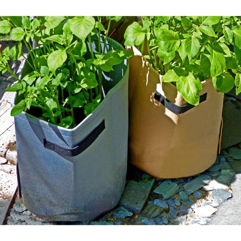 Wholesale Reusable and Durable PE potato grow bag 10 Gallon Tent