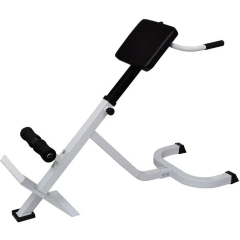 Back Extension Bench vidaXL