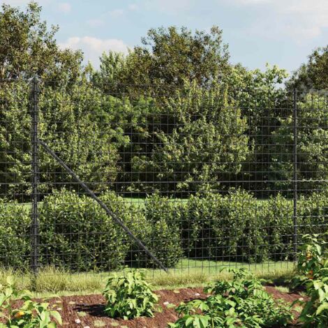 Chicken Wire Fence Galvanised Steel 25x1.5 M Silver