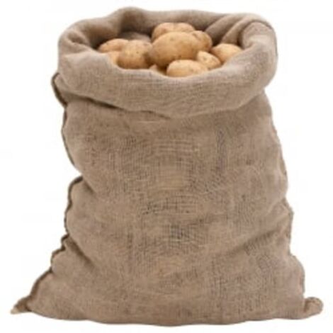 Jute Sacks 30 pcs 60x105 cm 100% Jute 220 gsm vidaXL