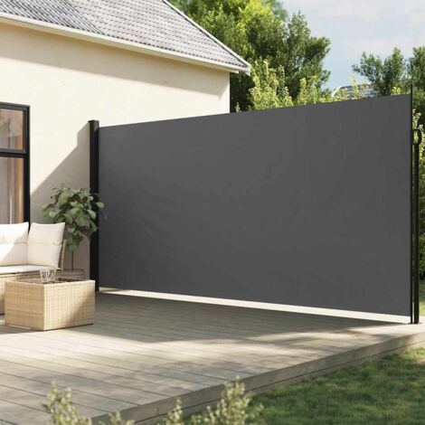 Retractable Side Awning Anthracite 220x300 cm vidaXL