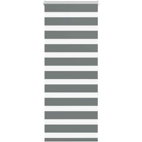 Zebra Blind Dark Grey 60x150 cm Fabric Width 55.9 cm Polyester vidaXL