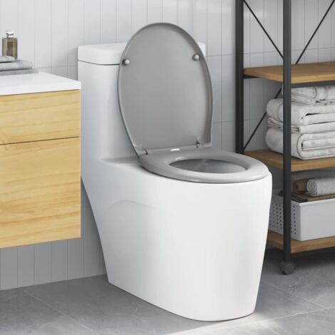 Quick Release Toilet suitable for Seat Grey vidaXL