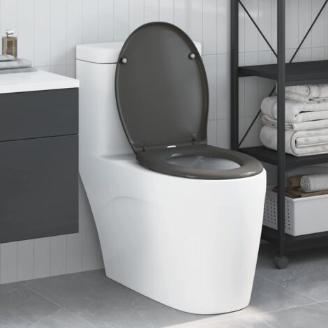 Quick Release Toilet suitable for Seat Anthracite vidaXL