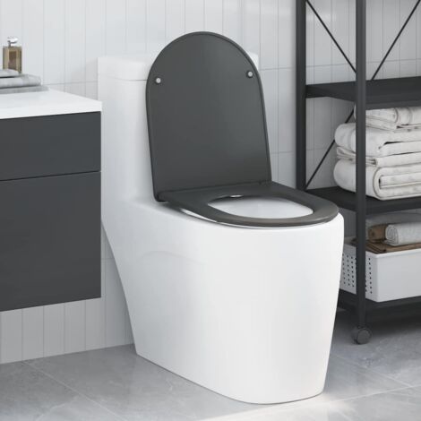 Quick Release Toilet suitable for Seat Anthracite vidaXL