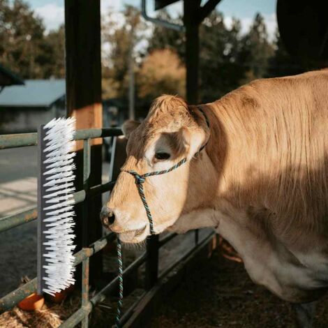 Cattle Brushes Black and White 50 x 10 x 6.5 cm vidaXL