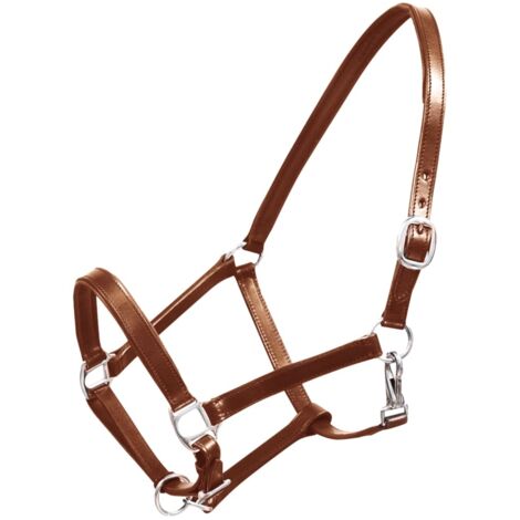 Real Leather Headcollar Stable Halter Adjustable Brown Full vidaXL