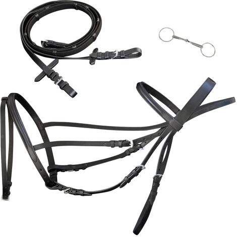 Leather Flash Bridle with Reins and Bit Black Full vidaXL