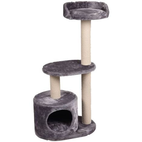 grey cat scratching tree