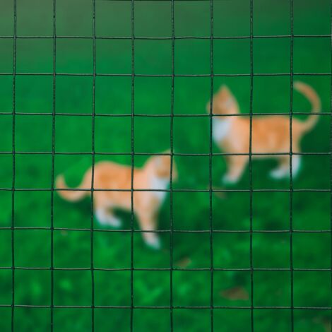 Wire Mesh Square 1x5 m 25 mm Plastic Coated Steel Green Nature