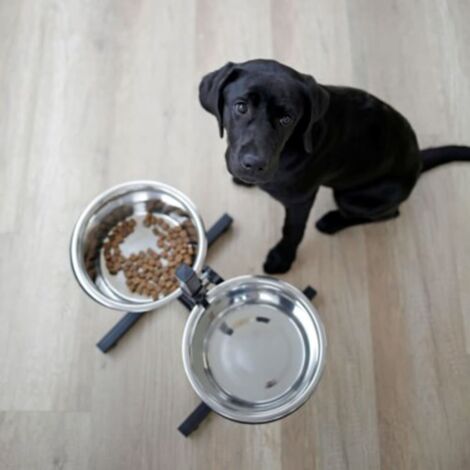 2x2 store dog biscuits