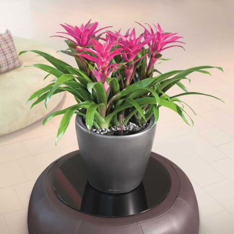 Planter CLASSICO LS 28 ALL-IN-ONE Charcoal Metallic 16043 LECHUZA