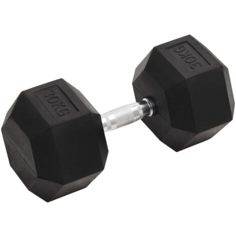 Dumbbell 30 kg Cast Iron vidaXL