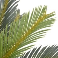 vidaXL Artificial Plant Cycas Palm with Pot Green 90 cm - Green