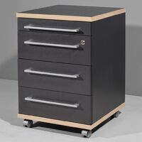 Germania Rolling Filing Cabinet Duo 42x45x60 cm Anthracite - Anthracite