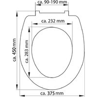 SCHÜTTE Duroplast Toilet Seat with Soft-Close Quick Release GREY - Grey