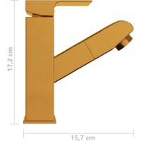 vidaXL Bathroom Basin Faucet with Pull-out Function Gold 157x172 mm