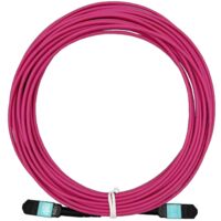 Elfcam® - Câble Fibre Optique MPO Femelle à MPO Femelle, Multimode OM4, Type B,Violet,(30m, 12 Fibres)