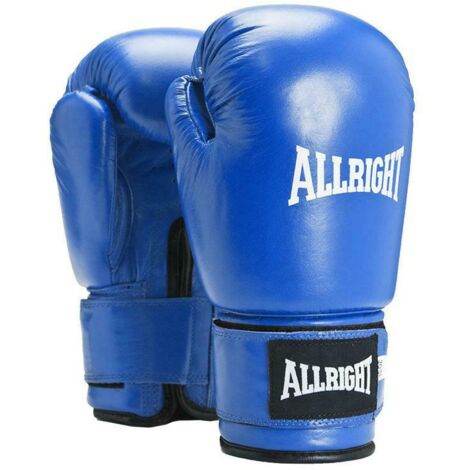 TOP PROFESSIONELLE BOXHANDSCHUHE 12 oz