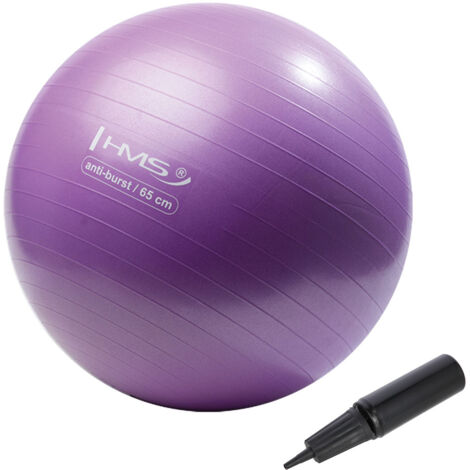 YB02 NEU 65CM LILA GYMNASTIKBALL HMS
