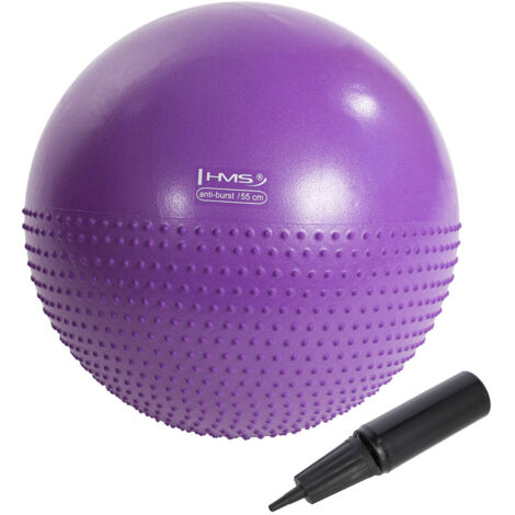 YB03 NEU 55CM violetter Gymnastikball HMS (1/5)