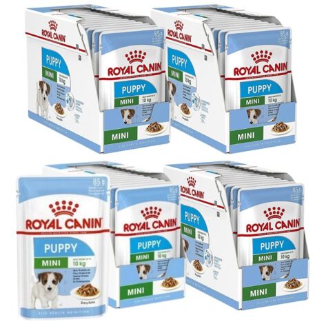 ROYAL CANIN SHN Mini Welpenfutter in Sauce 48 x 85 g