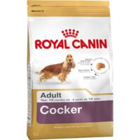 Royal Canin SHN Breed Cocker Trockenfutter für Hunde, 12 kg