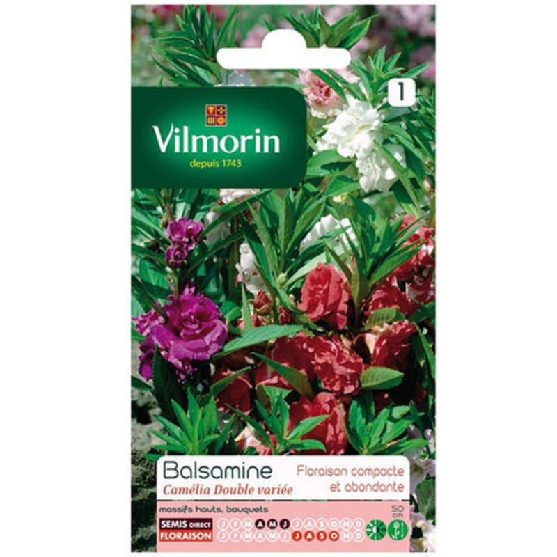Graines De Balsamine Camélia Double Variée - Fleurs Abondantes Ressemblant Au Camélia - Pour Massifs Ombragés