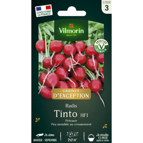 Radis Tinto HF1 - Graines d'Exception Vilmorin (1/2)