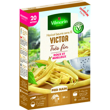 Graines de Haricot beurre sans fil VICTOR très fin