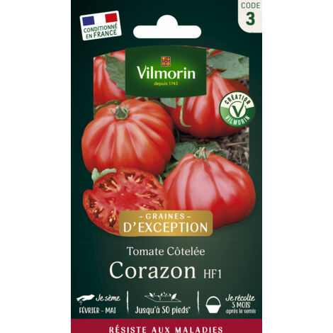 Graines de potager tomate coeur de boeuf Corazon – Hybride résistante aux maladies – Fruits 200-250g pour salades estivales – Vilmorin