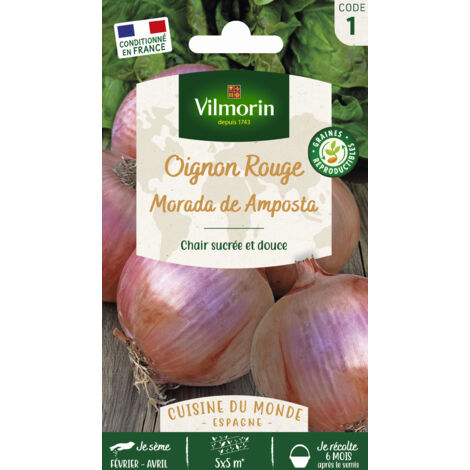 Oignon rouge morada de Amposta – Graines de potager – Période de semis : printemps – Bulbe sphérique rouge 6-8 cm – Pour salades – Vilmorin