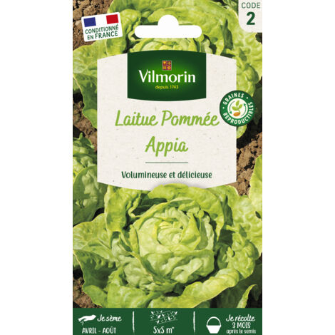 Vilmorin – Laitue pommée Appia – Graines de potager – Exposition mi-ombre – Semis de mars à juin – Récolte de mai à septembre (1/5)