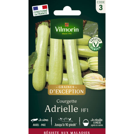 Courgette Adrielle HF1 - Graines d'Exception Vilmorin (1/2)