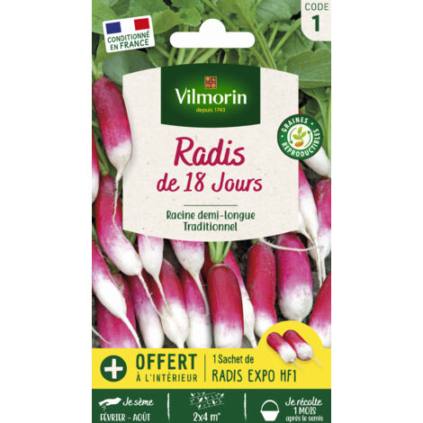 Radis de 18 Jours avec graines de Radis Expo HF1 offertes Vilmorin