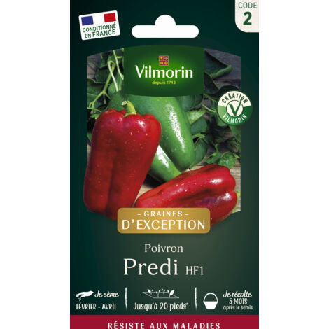 Sachet graines Poivron PREDI HF1 (1/3)
