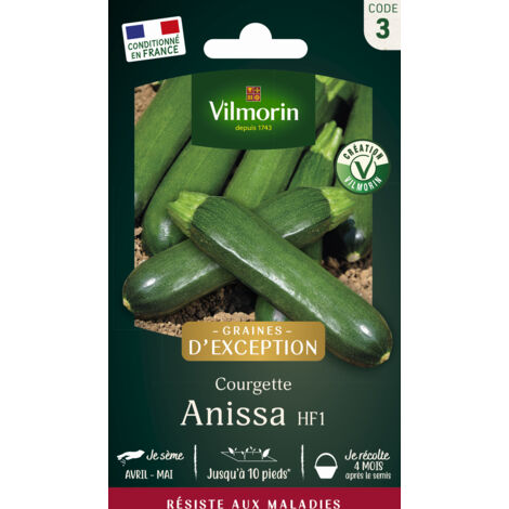 Courgette Anissa HF1 - Graines d'Exception Vilmorin (1/2)
