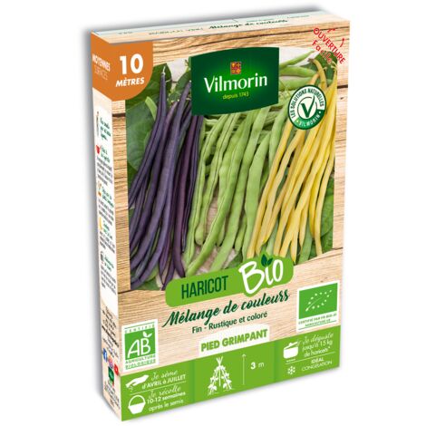Haricot Grimpant en Mélange de Couleurs - 10 m - BIO Vilmorin
