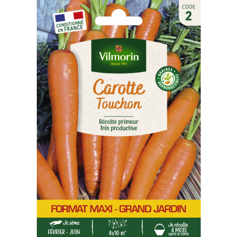Vilmorin - Carotte Touchon format éco (1/3)