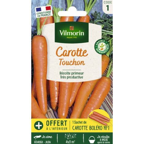 Sachet graines Carotte Touchon (1/2)