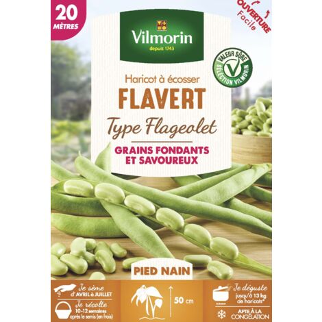 Haricot Nain à Ecosser Flavert (type Flageolet) - 20 m Vilmorin