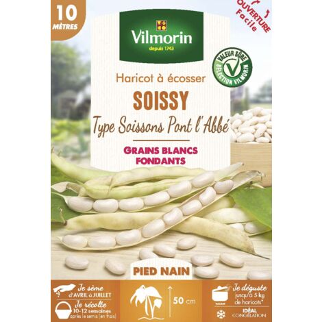 Haricot nain à écosser Soissy 10 m – Gros grains blancs à peau fine – Récolte optimale à maturité – Graines de potager Vilmorin (1/2)