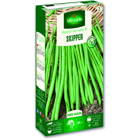 Vilmorin – Haricot nain vert Skipper – Variété rustique – Gousses droites 12-13 cm – Résistant au froid et à l'humidité – Recommandé pour congélation (1/4)